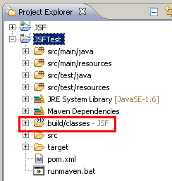 Project Explorer